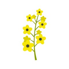 Rape plant icon. Flat illustration of rape plant vector icon for web design