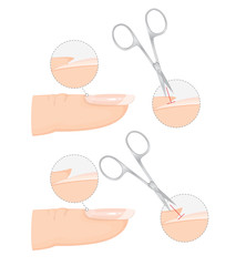 How to Trim Cuticles Professionally with Scissors. Professional Manicure Guide. Vector illustration