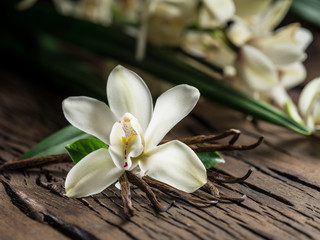Dried vanilla sticks and vanilla orchid on wooden table.