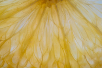 Fresh orange slice background, macro, close up. Bright juicy citrus pulp closeup. Background fruit texture.