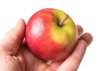 causasian hand holding apple with copy space