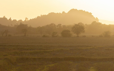 countryside at sunset