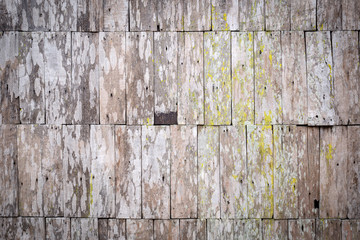 Dirty and old wooden wall background and texture.