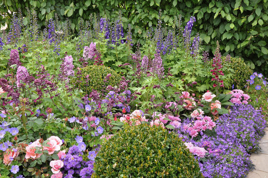 Beautiful pastel cottage garden flowers in the English summer border.