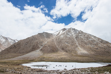 LEH LADAKH, INDIA - JUN19, 2018: Tourist travel to play himalayan snow mountains in Leh Ladakh, India