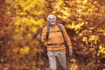 Senior man hiking in autumn forest.