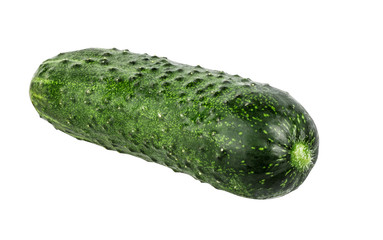 Cucumber isolated on white background with clipping path