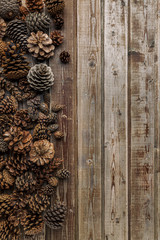 Cones of coniferous trees on the old wooden vintage background. Natural wood. Rustic style. The view from the top. Space for text.