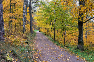Obraz premium empty autumnal path in city park, Lappeenranta Finland
