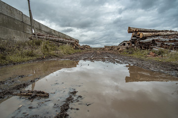 Many softwood logs lie along the road in mud and puddles on a cloudy fall afternoon at an old abandoned sawmill.