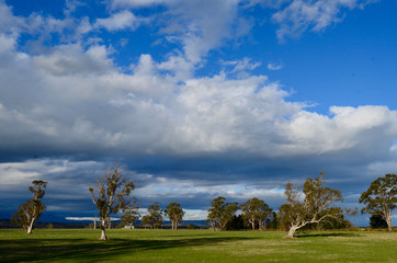 Fototapeta na wymiar A view of countryside south of Launceston in Tasmania.