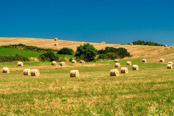 Rural landscape at summer near Bracciano, Rome - obrazy, fototapety, plakaty
