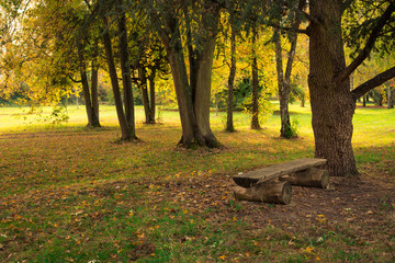 un banc dans un parc en automne