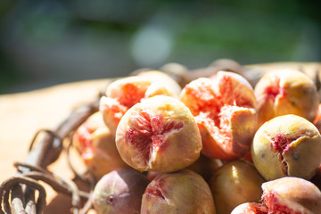 新鮮なイチジク