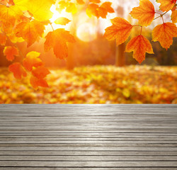 Naklejka na ściany i meble Wood texture and autumn leaves