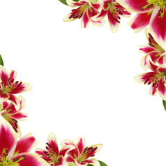 Fototapeta na wymiar Floral frame made of liles