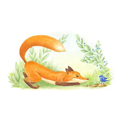 Hand drawn watercolor red fox on colorful background illustration
