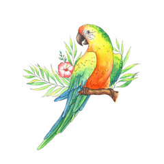 Hand drawn watercolor tropical parrot sitting on the branch of a tree