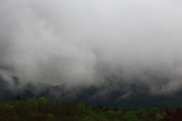 Veduta con nebbia e nuvole basse ed alberi in basso