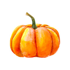 Watercolor pumpkin painting isolated on white background. Autumn harvest. Vegetarian raw food. Hand drawn sketch of a happy Thanksgiving Pumpkin.