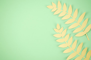 Cute long leaves with green copy space background