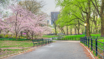 Central Park in spring