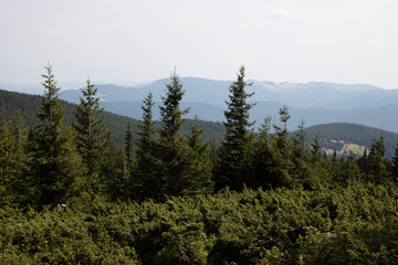 Beautiful landscape of mountains and forests against the blue sky. Travel concept.