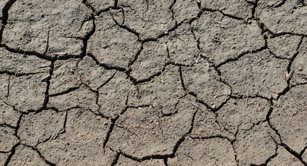 Sandboden Erde Textur ausgetrocknet als Hintergrund für Composing