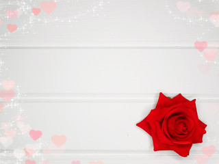 rose flower on white wooden background valentine's day love