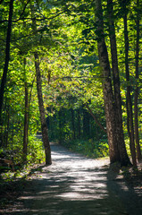 spring in Sokolniki park