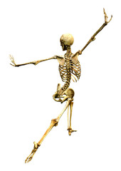 3D Rendering Human Skeleton on White