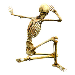 3D Rendering Human Skeleton on White