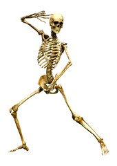 3D Rendering Human Skeleton on White