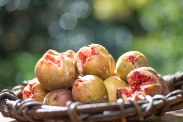 新鮮なイチジク