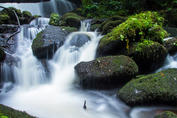waterfall in forest