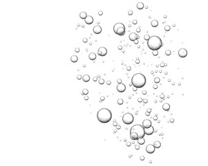 Vector fizzy drink isolated on white background. The texture of the air bubbles. Soda. Circles are going up