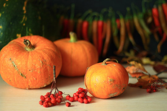 still life of pumpkins, rowanberry and pepper