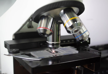 Fototapeta na wymiar This is a microscope used for the detection of pathogens such as bacteria, fungi, protozoa. and malaria etc. Suitable for scientists Medical technologist and medical scientists