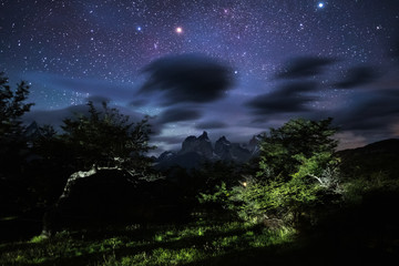 Mountains of Torres del Paine National Park visible through the green trees and starry night with...