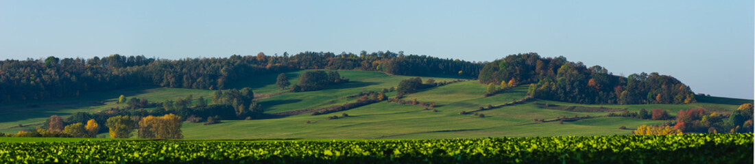Fototapeta na wymiar rolling hills with hedgerows and trees in morning light