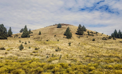 Obraz premium Magnificent views of extended prairie, rolling hills and vast canyons in the unspoiled beauty ot the Sutton Mountain Wilderness Study Area outside the rustic town of Mitchell, Oregon.