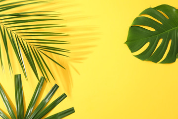 Fototapeta na wymiar Different palm leaves on yellow background, copy space