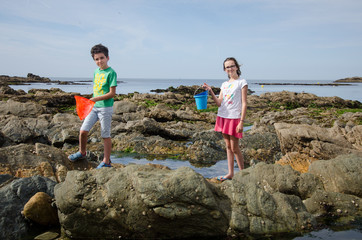 des enfants ramassent des coquillages à la mer