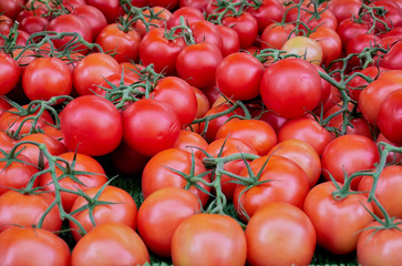 Tomatoes. A lot of tomatoes in the market. Side view