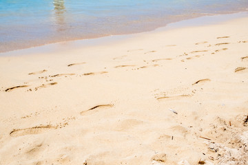 ハワイ ワイキキビーチの空 ヤシの木