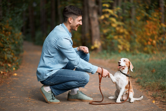 kind attractive man teaching his dog to greet, nice to meet you. full length side view photo