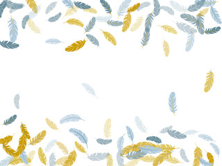 Flying feather elements airy vector design.