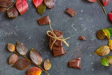 Pieces of dark chocolate and fall leaves on a dark background. Candy sweet dessert and snack. Dark chocolate is an antioxidant and boosts energy and serotonin. Close up, copy space