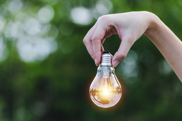 hand holding light bulb in garden green nature background.