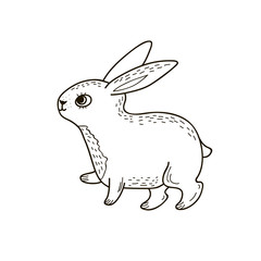 Cute rabbit. Vector linear drawing in doodle style. Hare drawing